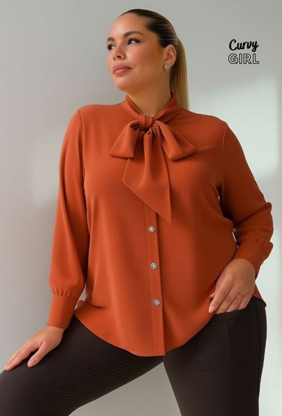 Picture of CURVY GIRL ELEGANT BLOUSE WITH BOW
